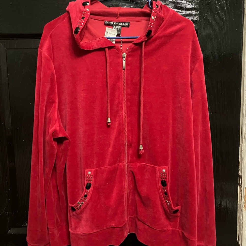 Read hoodie with zipper mirror image